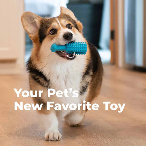 Oxyfresh 100% Natural Rubber Dog Dental Toy – Fun, Easy Way to Clean Dog Teeth