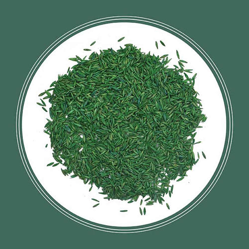 Pennington Kentucky 31 Tall Fescue Grass Seed