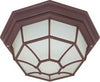 Satco 60-3451 1 LT 12 Spider Cage Ceiling