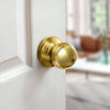 Premier Lock Passage Door Knob - Carded