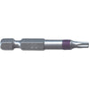 Big Timber T20 x 2 In. Torx Bit