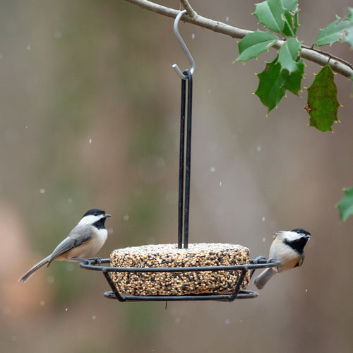 Harvest Seed & Supply Snack Stack Feeder (Snack Stack)