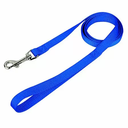 Leather Brothers Single Ply Nylon Lead 3/4 x 4 ft. Blue