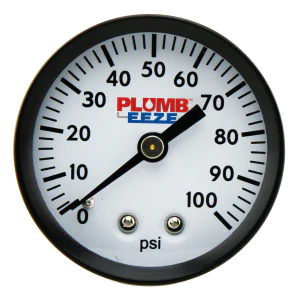 Dry Pressure Gauge