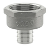 Plumbeeze  Pex Female Pipe Thread Adapter