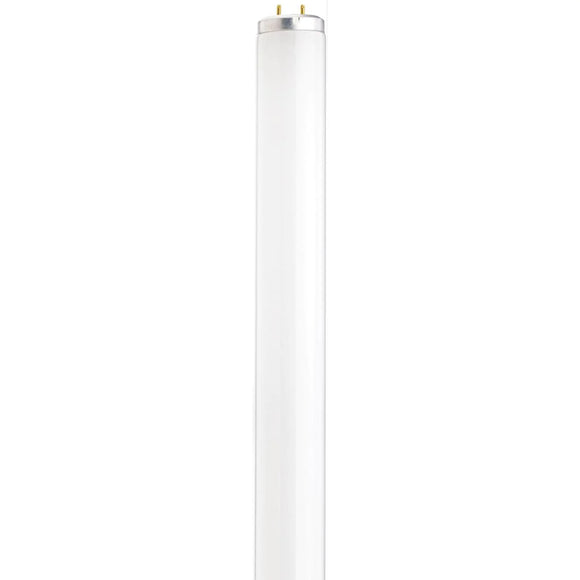 Satco S26566 F20T12/D